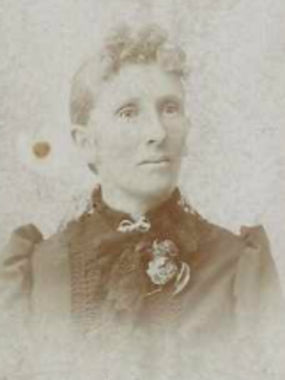 Betsy Ellen Schofield (1862 - 1922) Profile